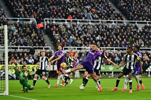 Newcastle United đấu với Fulham