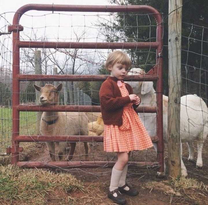 6686体育签约作者鬼域幽火