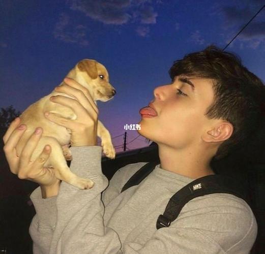 6686体育钻石作者花落半歌