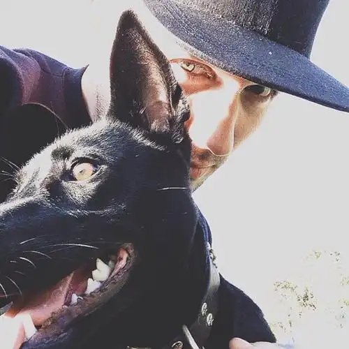 6686体育初级作者Noah