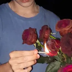 6686体育初级作者Noah