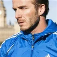 6686体育首席作者Pax